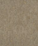 TAPETA 538342 CURIOSITY
