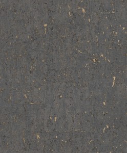TAPETA 538359 CURIOSITY