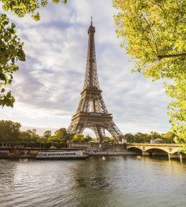 Fototapeta na flizelinie MS-3-0028 SEINE IN PARIS