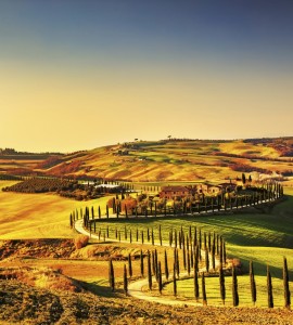 Fototapeta na flizelinie MS-3-0070 TUSCANY