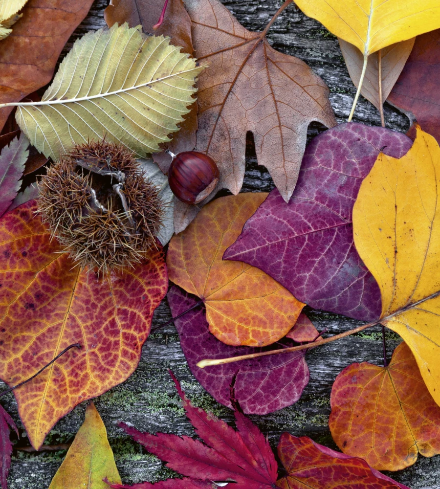 a2839007e7f69b4068b4df2babf1b8d4