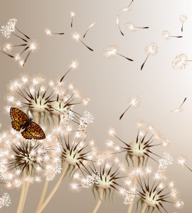 Fototapeta na flizelinie MS-3-0148 DANDELIONS AND BUTTERFLY