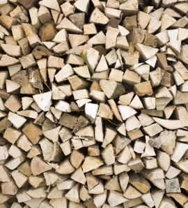 Fototapeta na flizelinie MS-3-0161 TIMBER LOGS