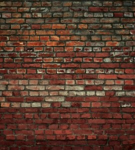 Fototapeta na flizelinie MS-3-0166 BRICK WALL