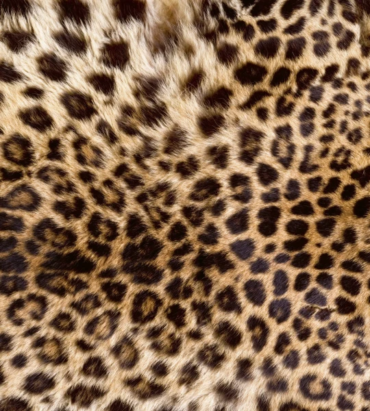 59a411885a201a455d230186147d5158