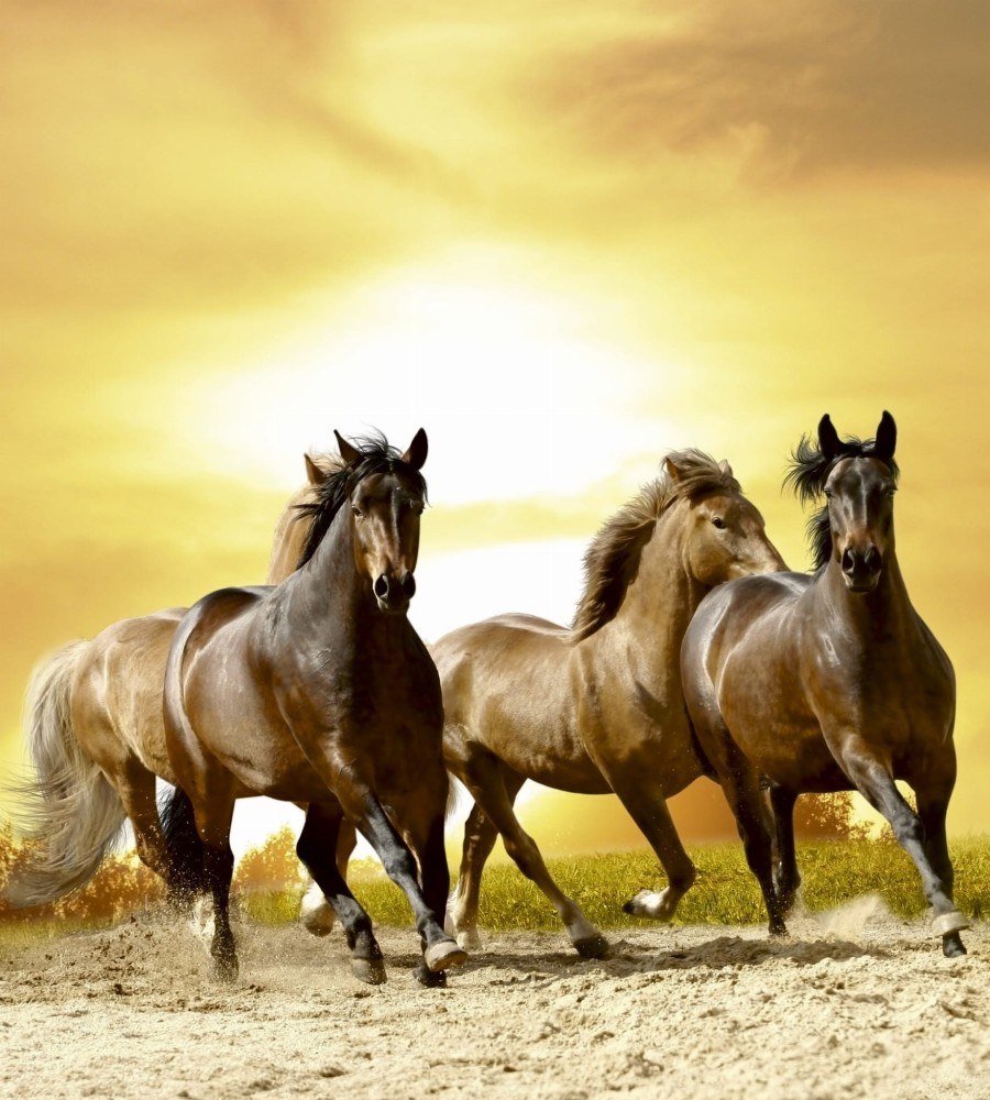 1c18687baac1e738f1110bf9163c1bed