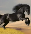 8421b514ed4535335daa1a1c928bdf15