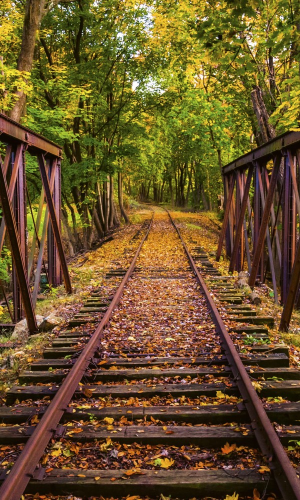 Fototapeta na flizelinie MS-2-0055 RAILROAD