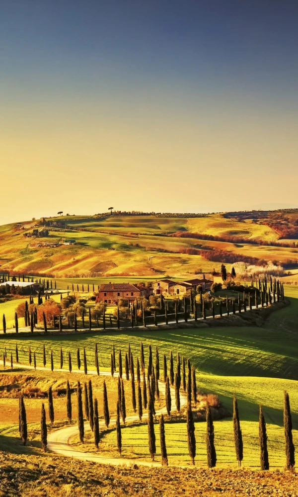 Fototapeta na flizelinie MS-2-0070 TUSCANY