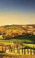 Fototapeta na flizelinie MS-2-0070 TUSCANY
