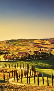 Fototapeta na flizelinie MS-2-0070 TUSCANY
