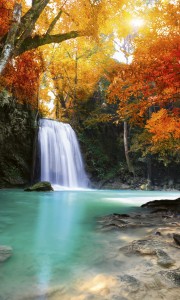 Fototapeta na flizelinie MS-2-0083 DEEP FORESTWATERFALL