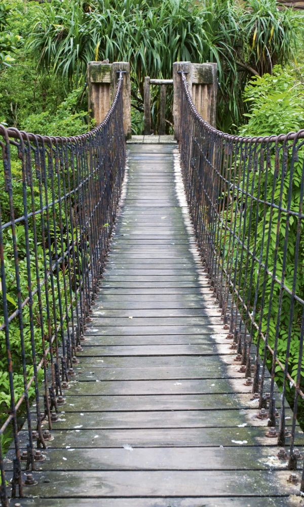 Fototapeta na flizelinie MS-2-0084 FOOTBRIDGE