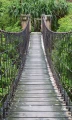 Fototapeta na flizelinie MS-2-0084 FOOTBRIDGE