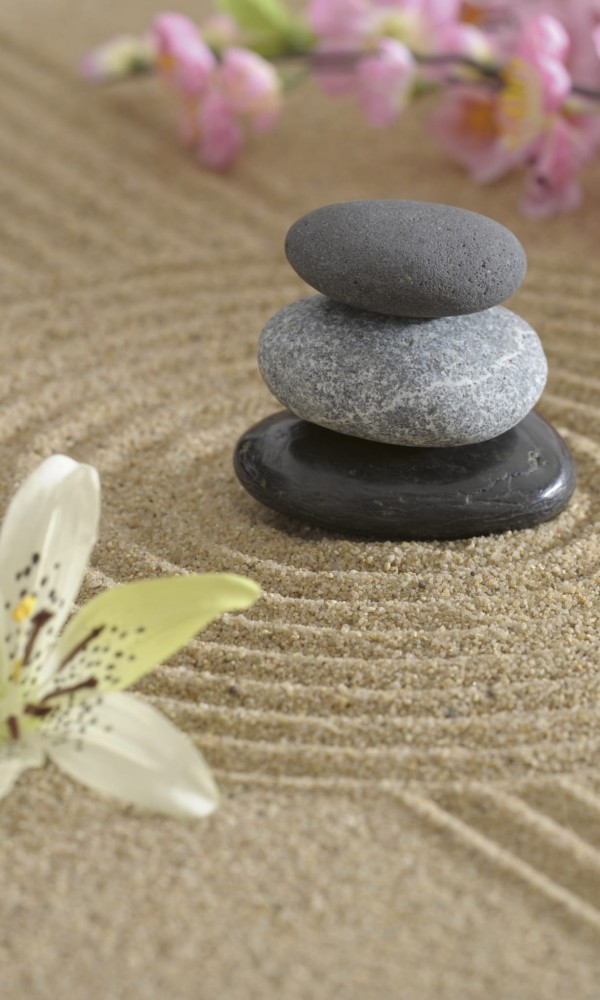 Fototapeta na flizelinie MS-2-0117 ZEN GARDEN