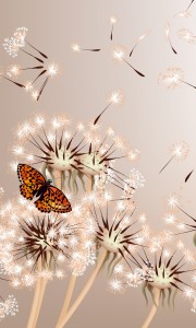 Fototapeta na flizelinie MS-2-0148 DANDELIONS AND BUTTERFLY