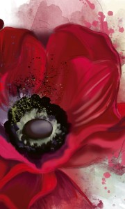 Fototapeta na flizelinie MS-2-0150 POPPY