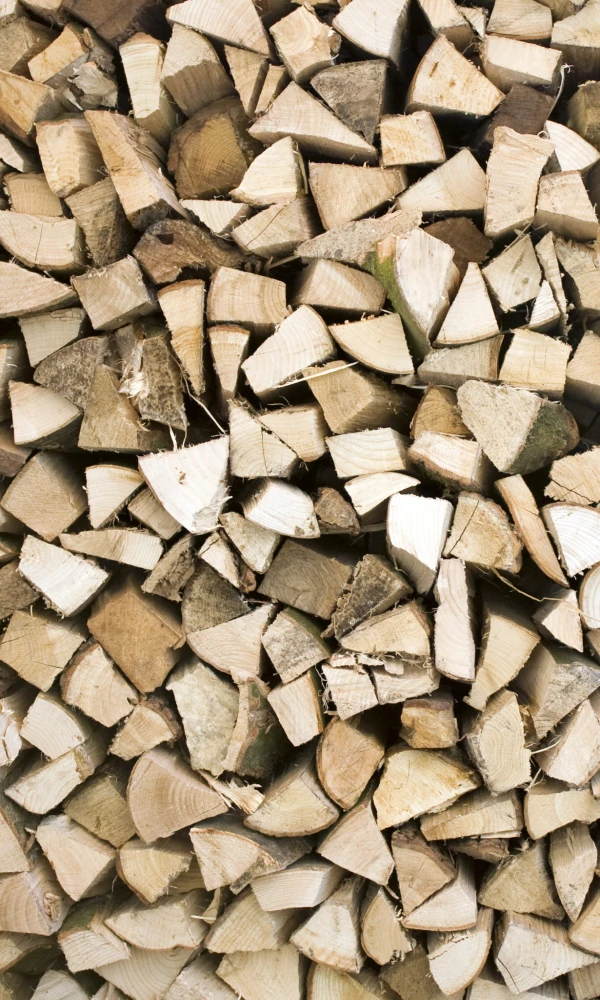 Fototapeta na flizelinie MS-2-0161 TIMBER LOGS