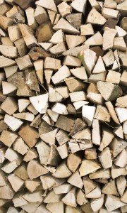 Fototapeta na flizelinie MS-2-0161 TIMBER LOGS