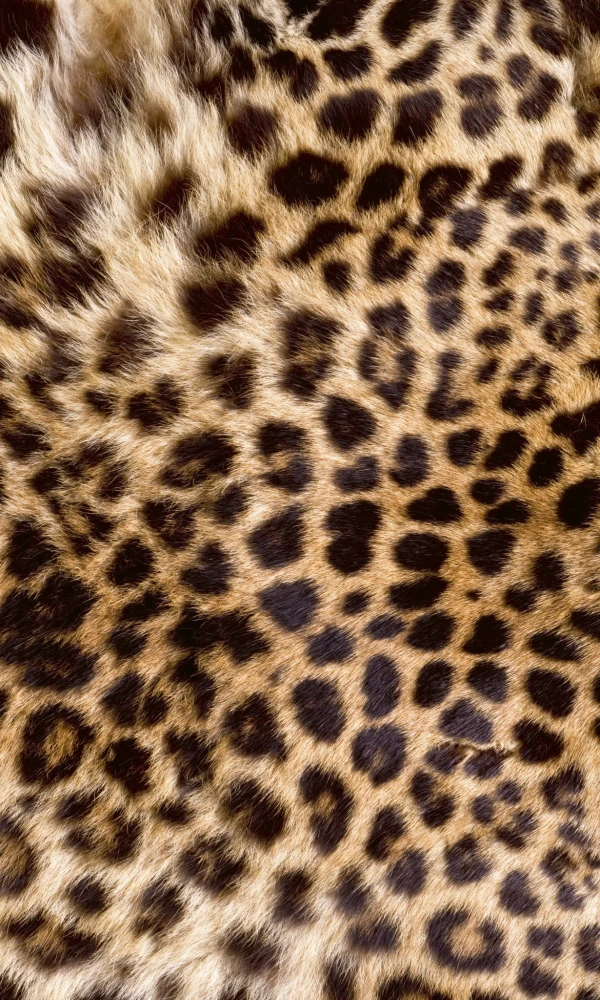 d364e642cf82578c1598780764f87798