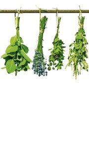 Fototapeta na flizelinie MS-2-0240 HERBS