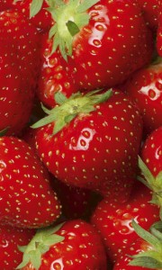 Fototapeta na flizelinie MS-2-0241 STRAWBERRY