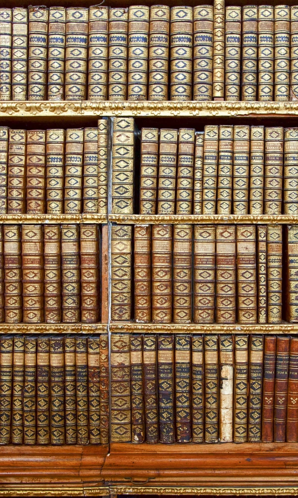 Fototapeta na flizelinie MS-2-0263 LIBRARY