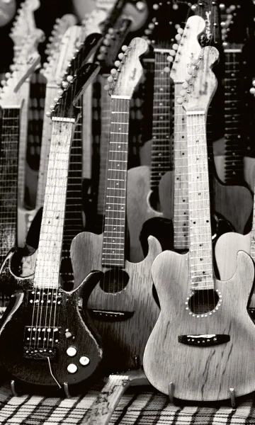 Fototapeta na flizelinie MS-2-0303 GUITARS COLLECTION