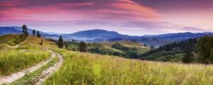 Fototapeta na flizelinie MP-2-0061 BLOOMING HILLS