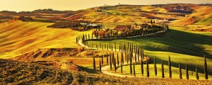 Fototapeta na flizelinie MP-2-0070 TUSCANY