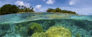 Fototapeta na flizelinie MP-2-0200 CORAL REEF