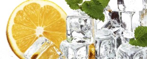 Fototapeta na flizelinie MP-2-0238 LEMON AND ICE