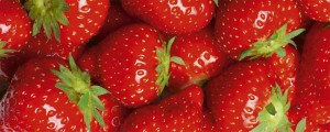 Fototapeta na flizelinie MP-2-0241 STRAWBERRY