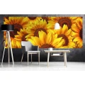 Fototapeta na flizelinie MP-2-0129 HELIANTHUS