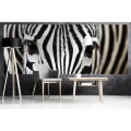 Fototapeta na flizelinie MP-2-0234 ZEBRA