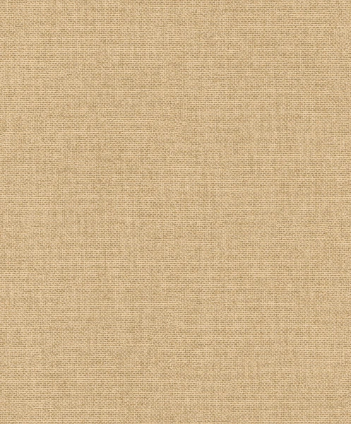 278753