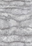 TAPETA 10299-47 FOCUS
