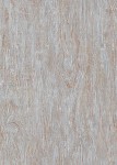 TAPETA 10307-10 FOCUS