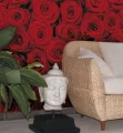 Fototapeta 4-077 Roses   