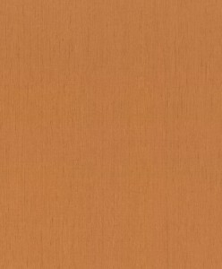 TAPETA 746099 INDIAN STYLE