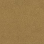 TAPETA 751031 AFRICAN QUEEN III