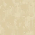 ec5a450c3ab5972c11705f8d5a1fa256