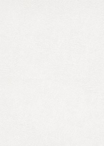 TAPETA 13004-10 ROLLOVER COLLECTION