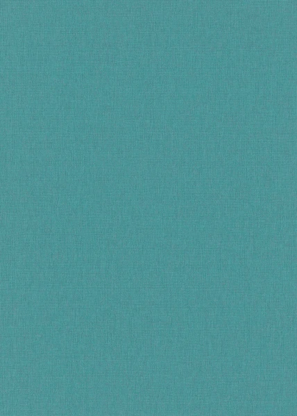 295790