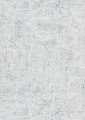 296061