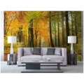 229169