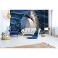 229634