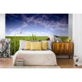 5ca1f77be6aed0cab9e159dfad637cca