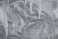 aaf8b10934c41122ece545df58df1fc5