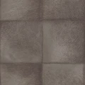 243704